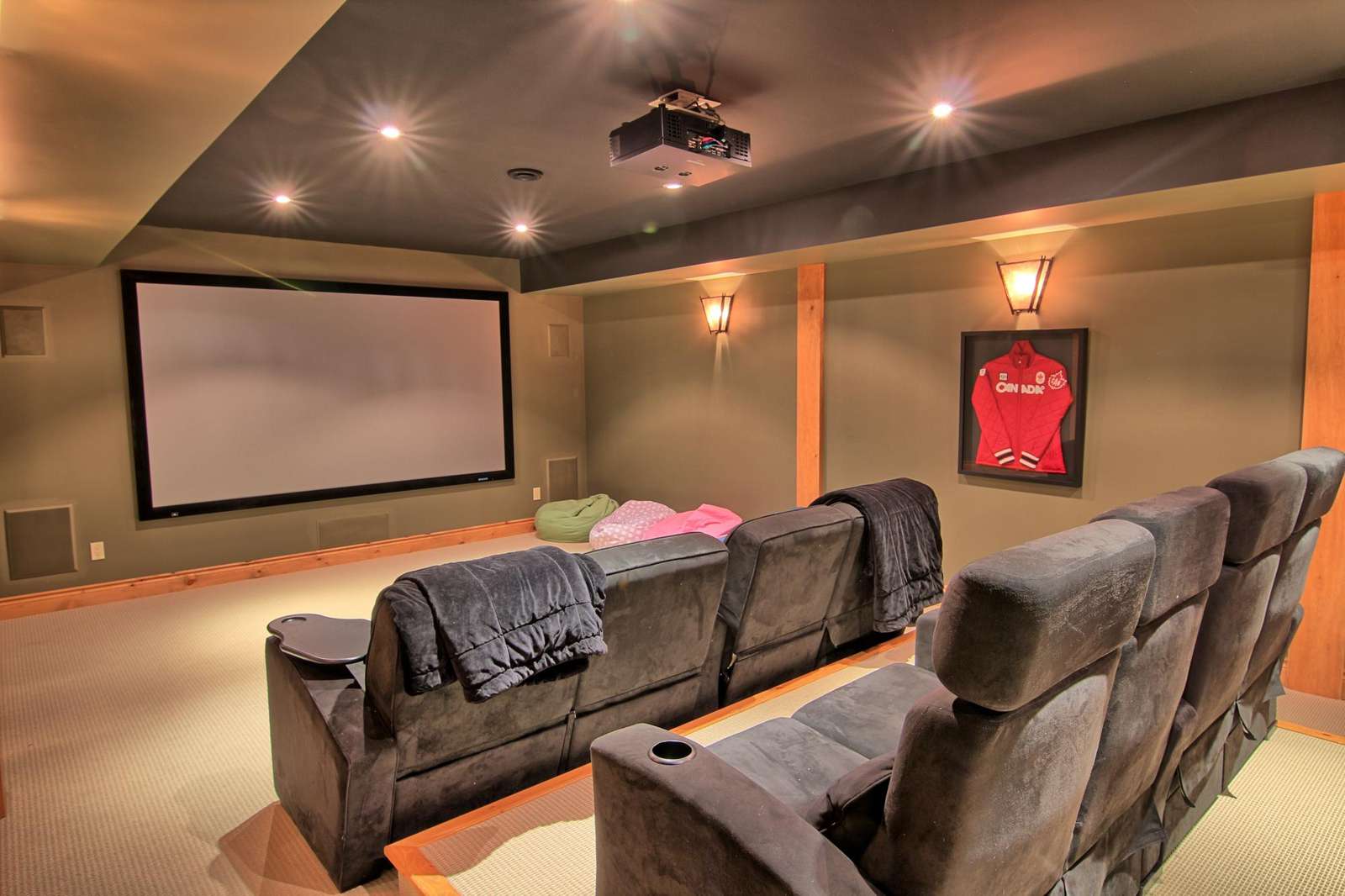 Lower Level Theatre Room