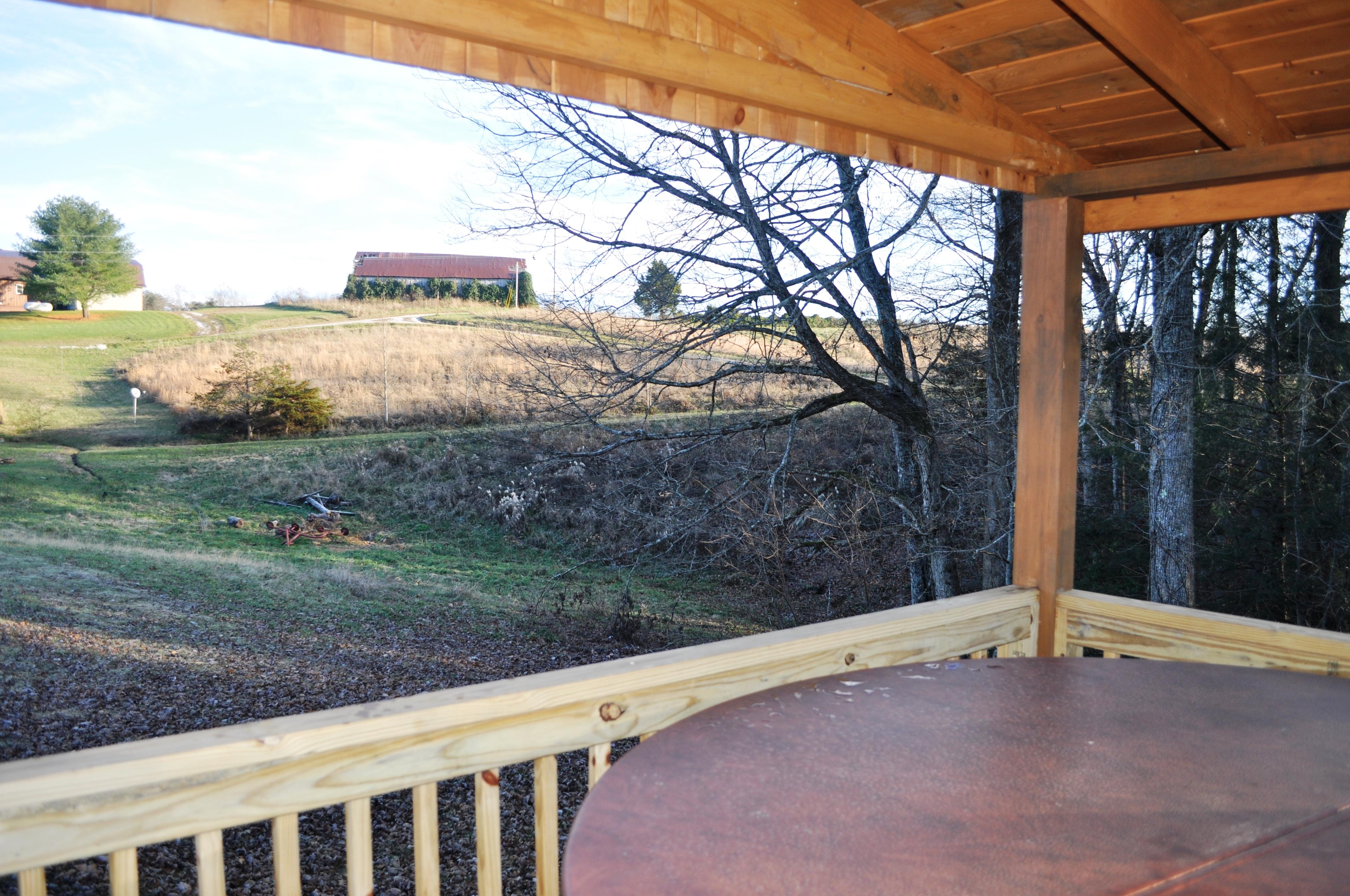 Meadow View