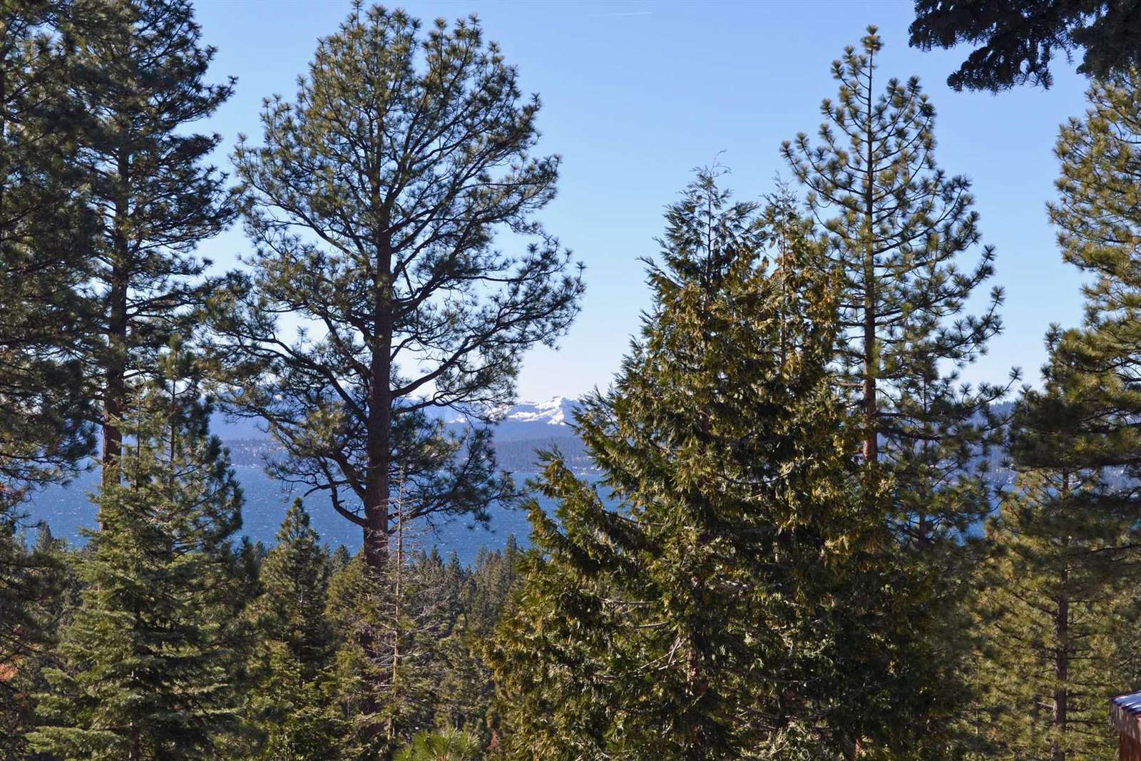 Views of Lake Tahoe