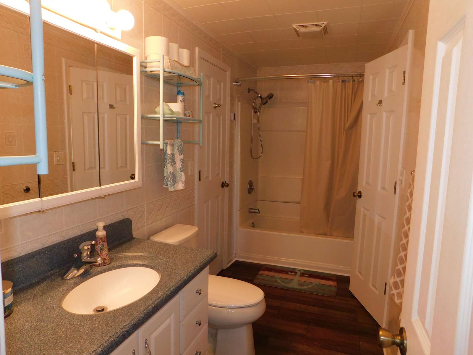 Tub Shower combo