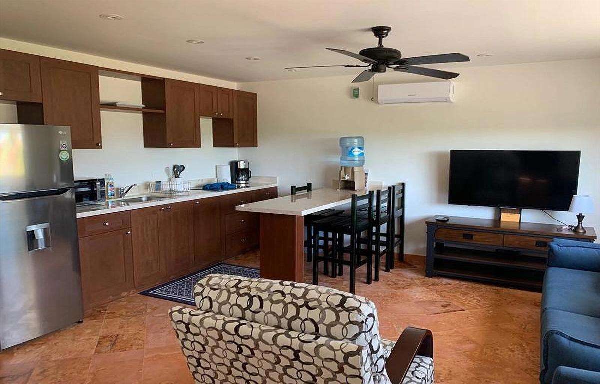 Casa Mango Unidad 4 PH Vista previa 5