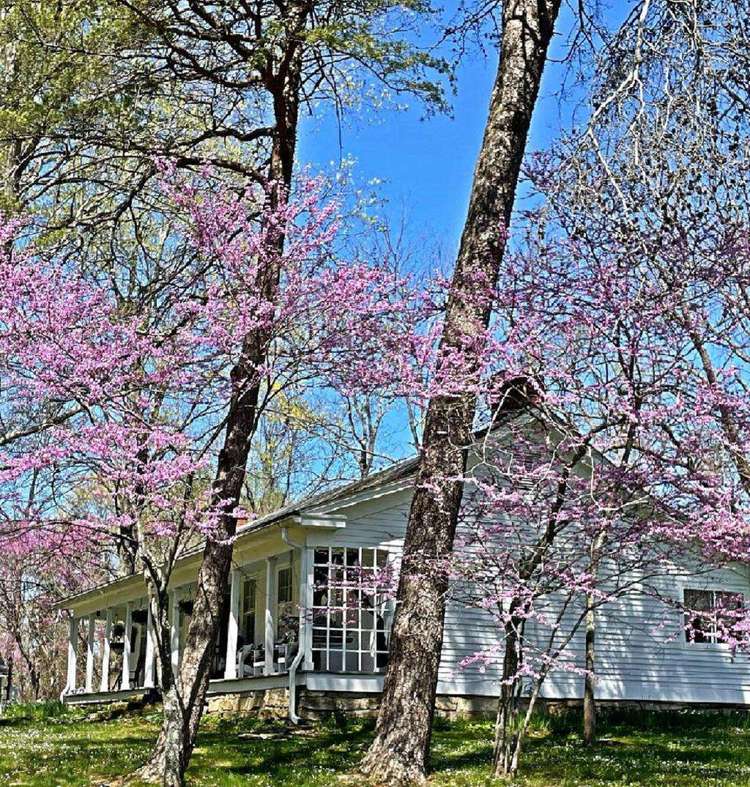 Vacation Rentals Brown County Log Cabins