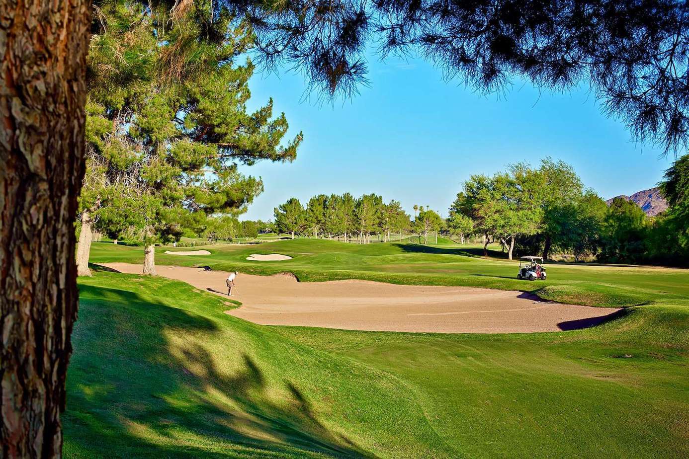 i035215 preview