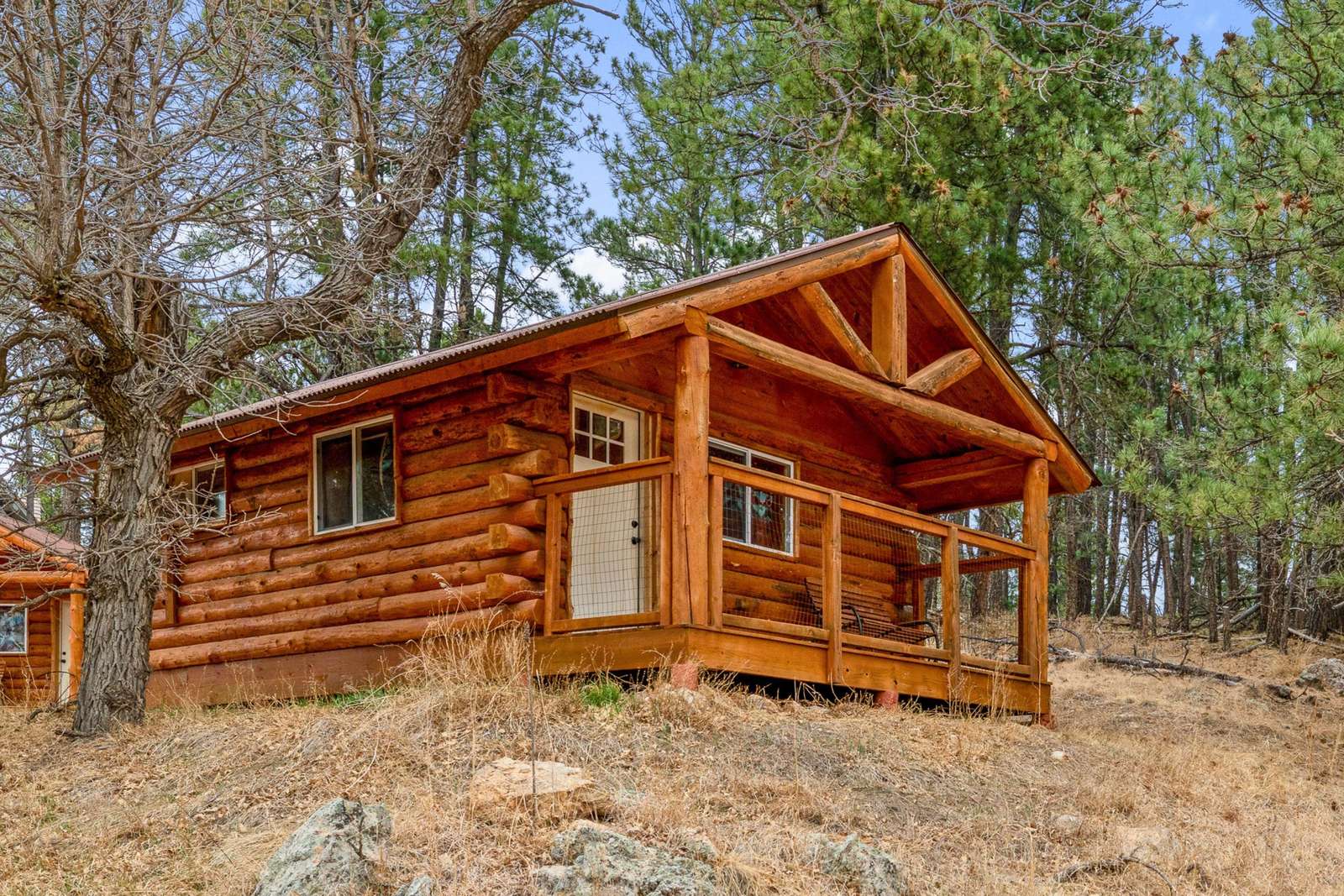 Glamping Cabins Preview