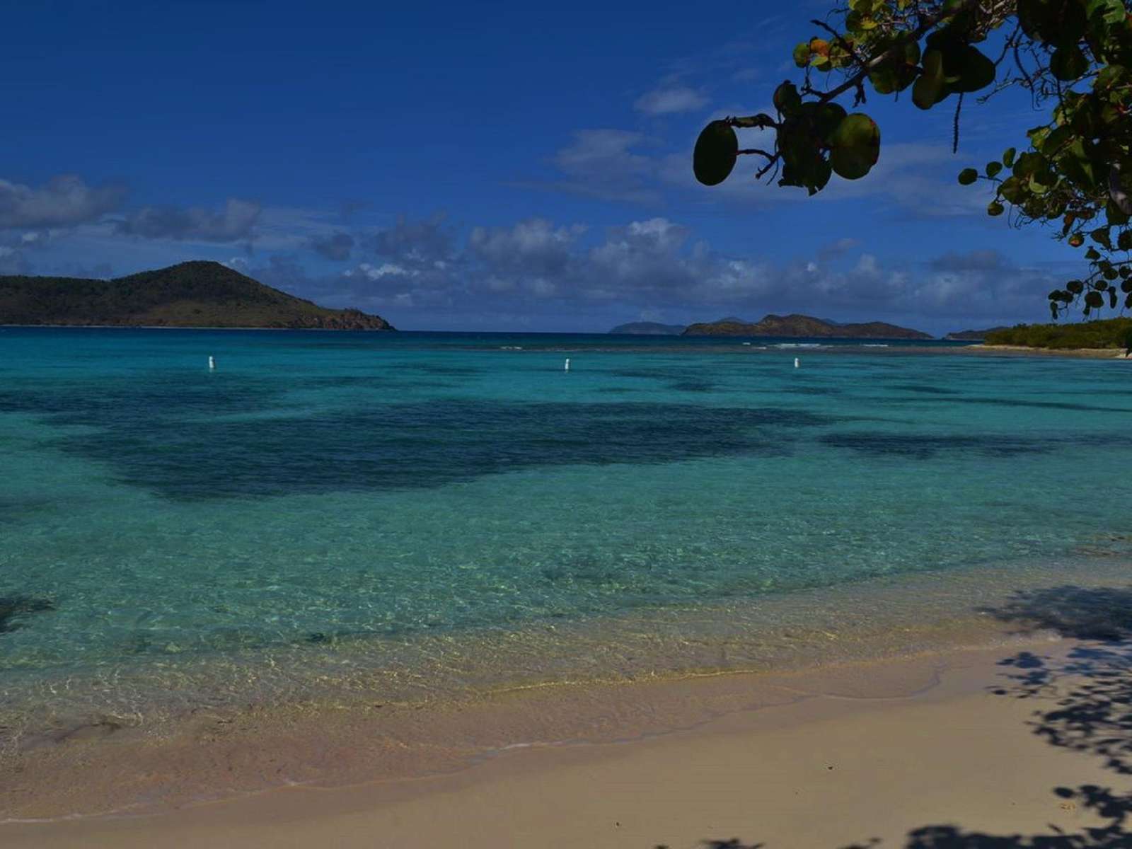 Linquist Beach in the morning