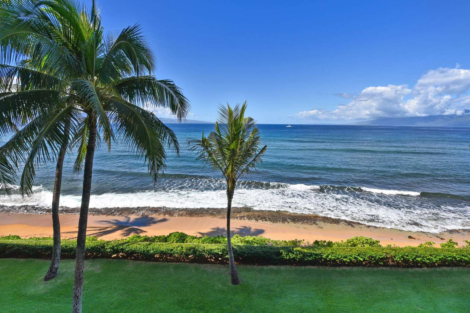 View from Lanai