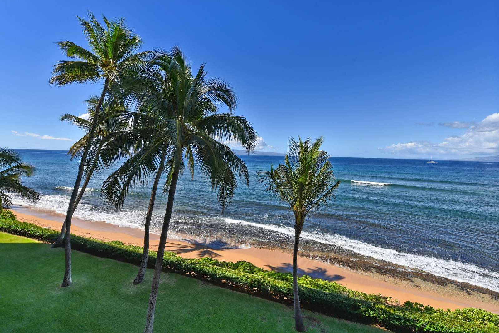 View from Lanai