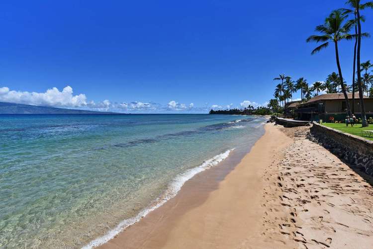 Papakea Oceanfront Resort J104 Preview 5