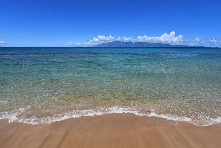Papakea Oceanfront Resort J104 Preview 0