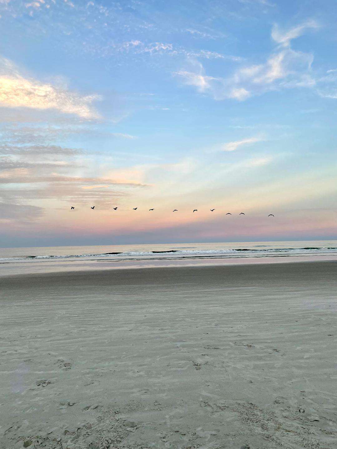 Morning Sunrise