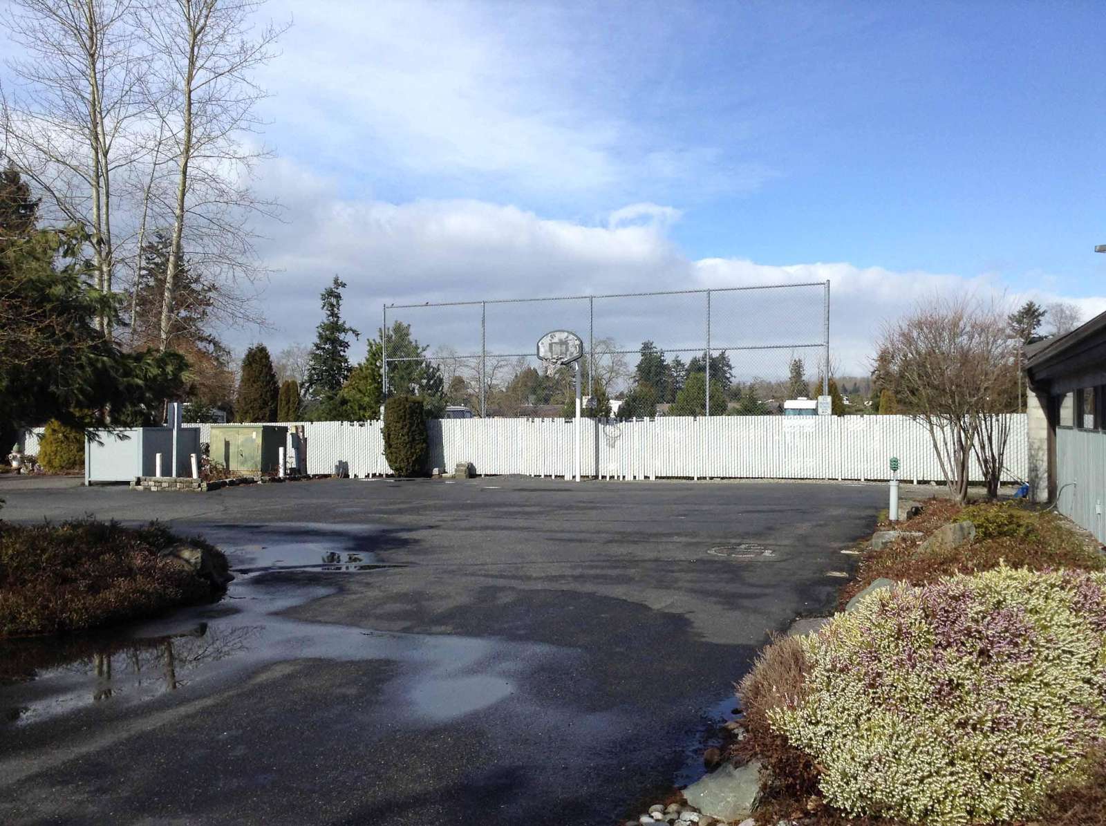 Basketball court