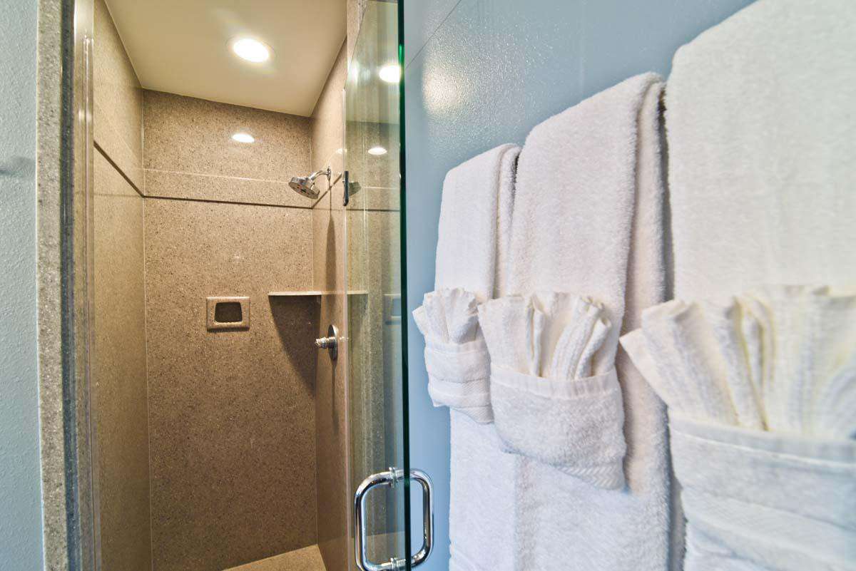 Master bathroom: close-up of shower