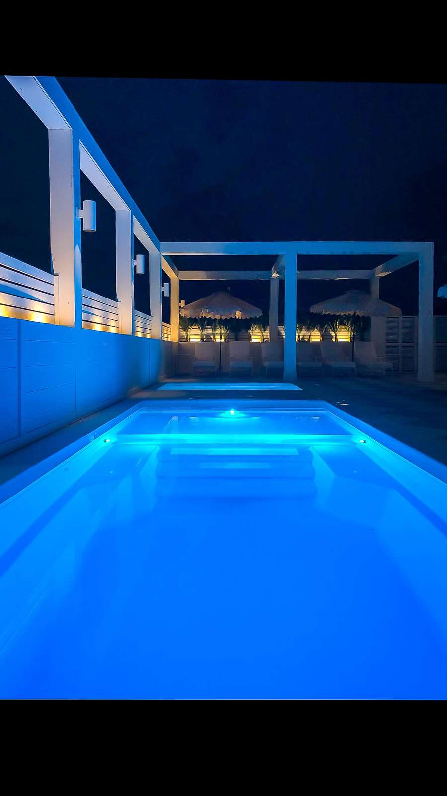Deck & Pool Area