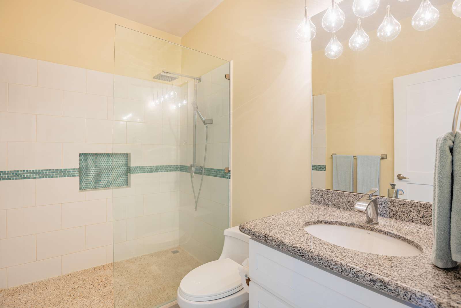 Guest bathroom, walk in shower