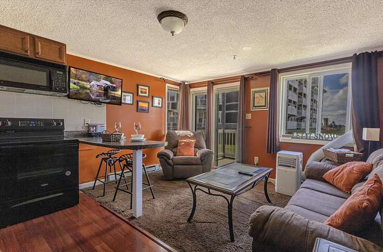 110 Mountain Lodge Preview 0