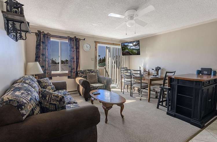 259 Mountain Lodge Preview 0