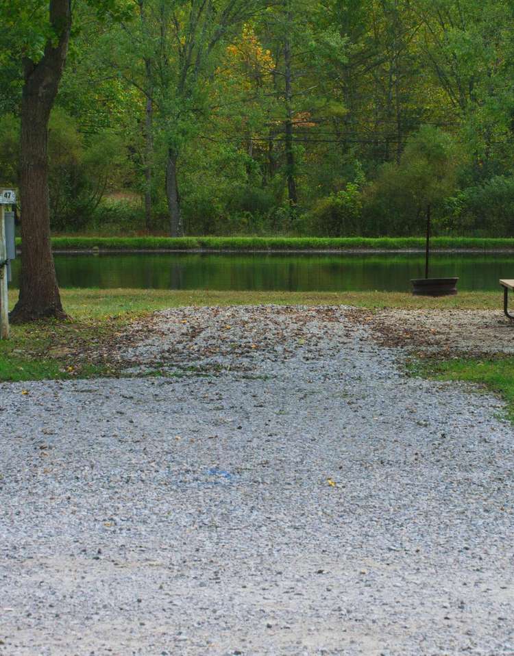 Site #47 (30 amp/Motorhome ONLY – no travel trailers due to the configuration of site) Buddy Site Preview 0