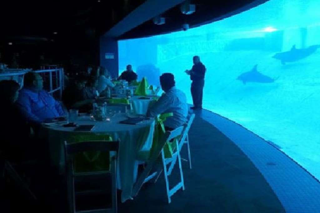Texas State Aquarium is 1 mile down the beach