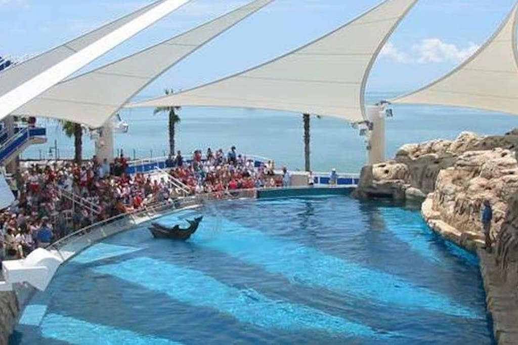 Texas State Aquarium is rated as one of the best in the world