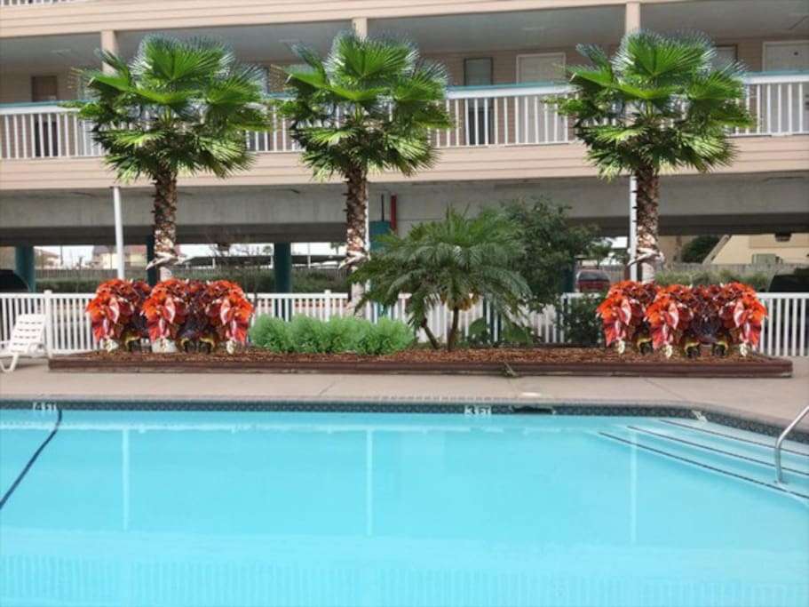 this is one of our pools, it is heated