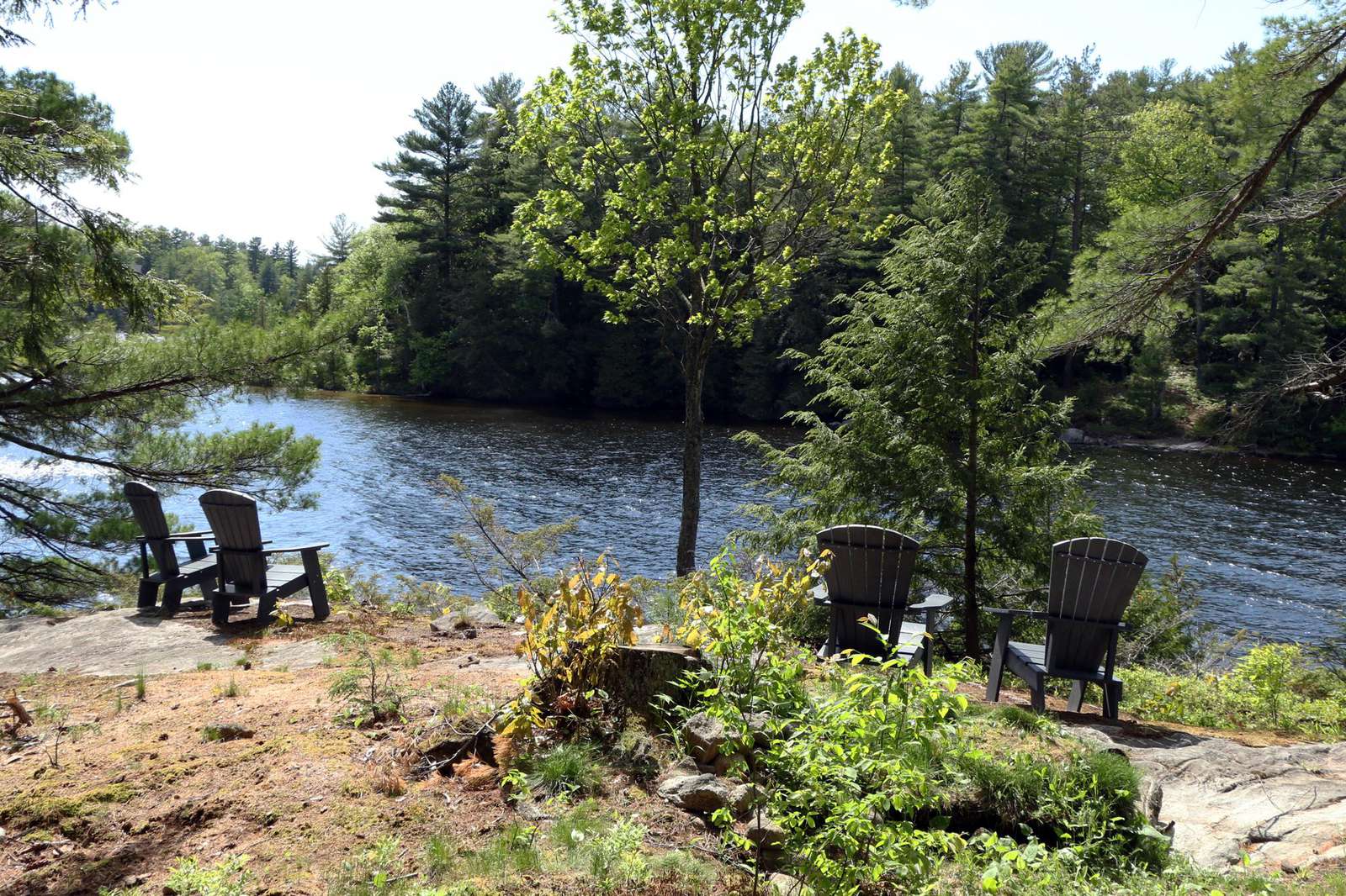 Muskoka Chairs