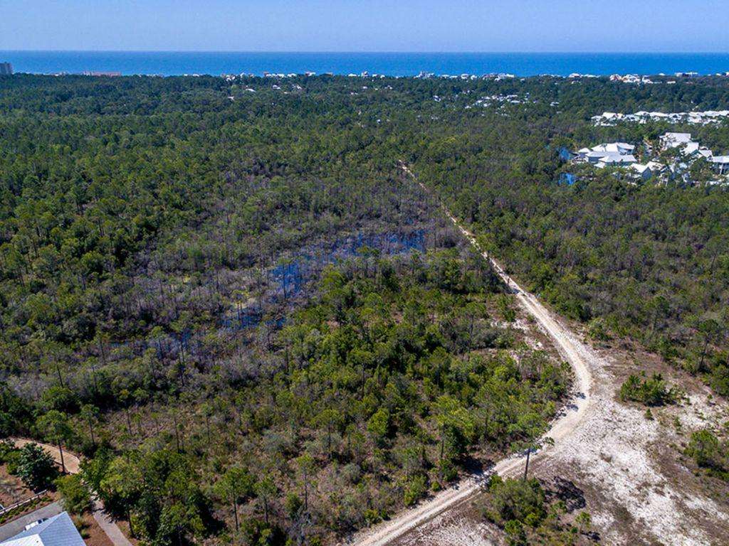 trail leading to San Juan Ave, 30a, beach