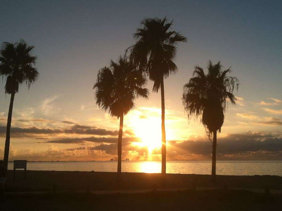 Another beautiful morning at Corpus Christi Beach Condos.
A great way to begin your morning with a cup of coffee!