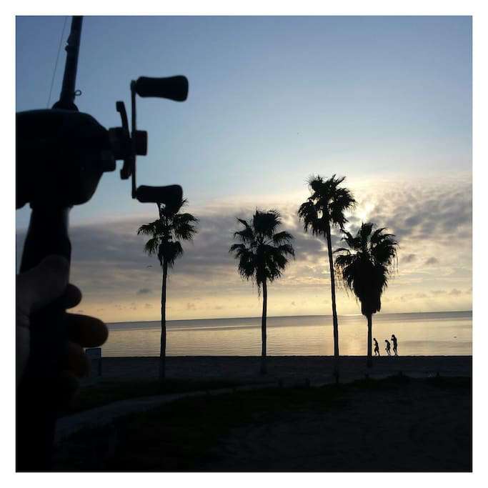 or get up and go out in the surf and catch some fish