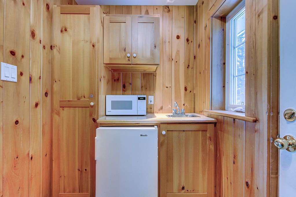 Little fridge and microwave