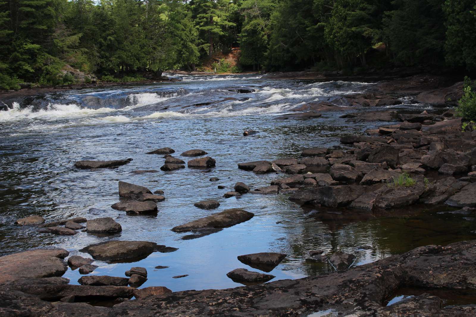 Muskoka River