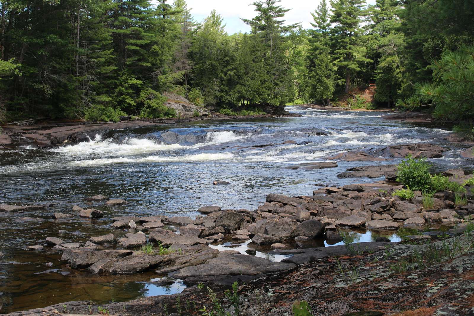Muskoka River