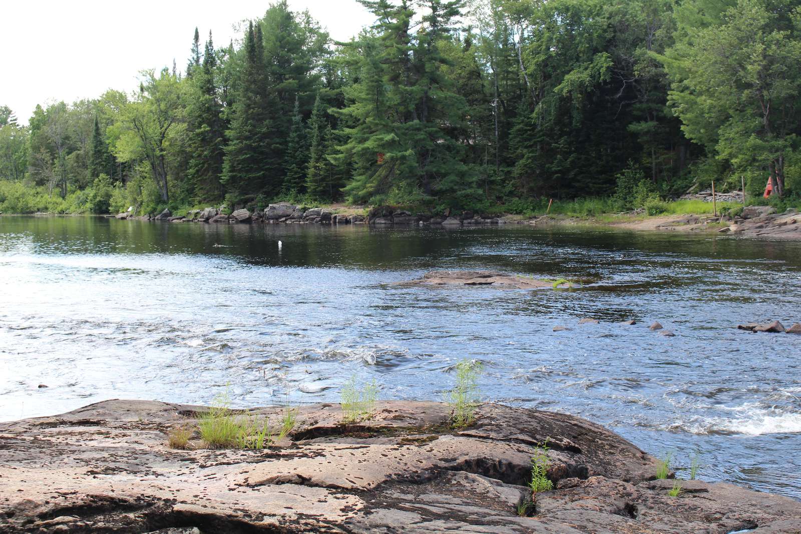 Muskoka River