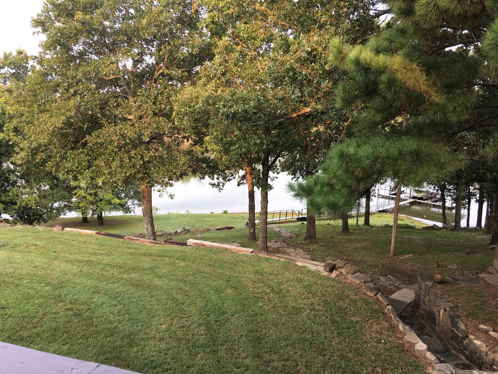 View from Back Yard
