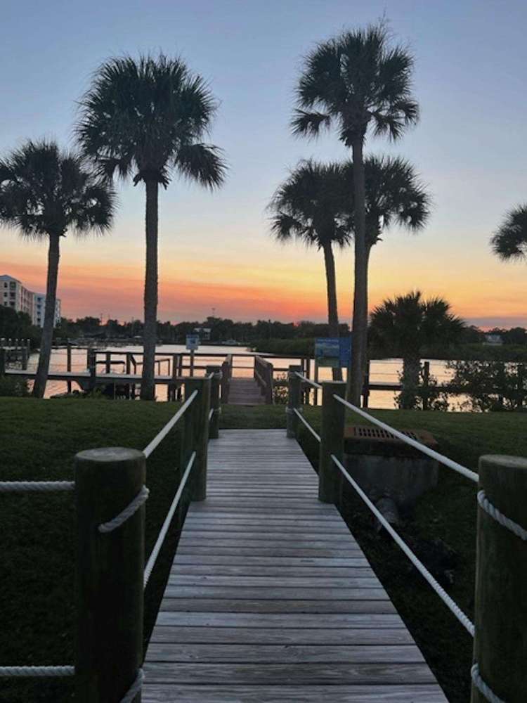 Dolphin Cove Cottage Preview 0