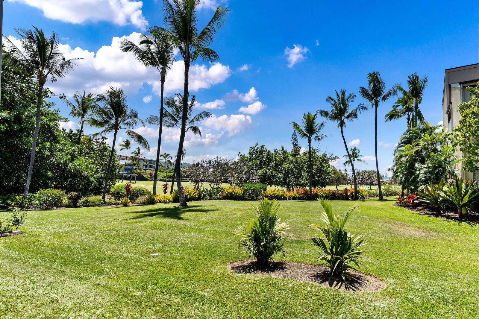 Looking from condo towards golf course.