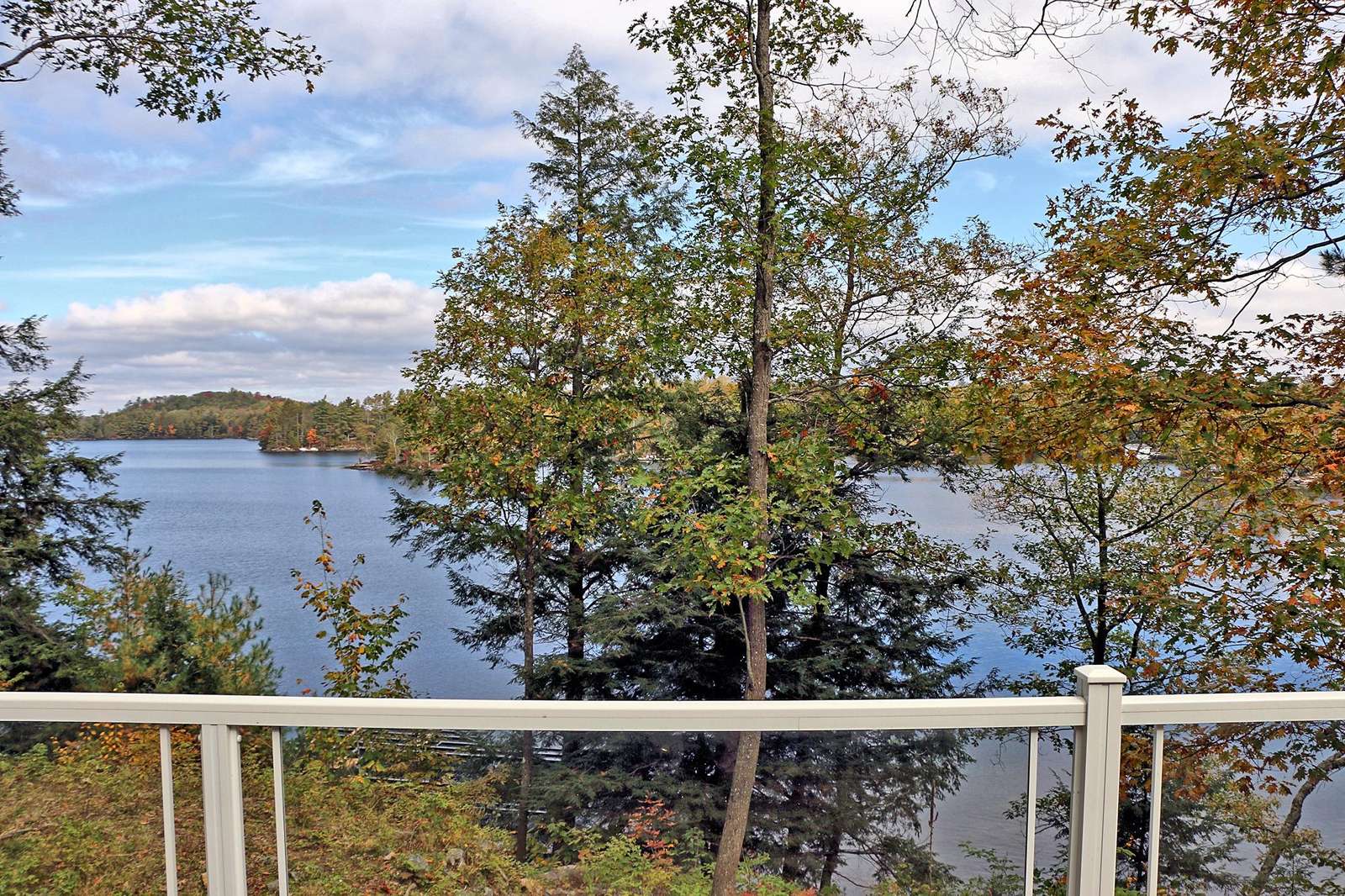 View on Lake Muskoka