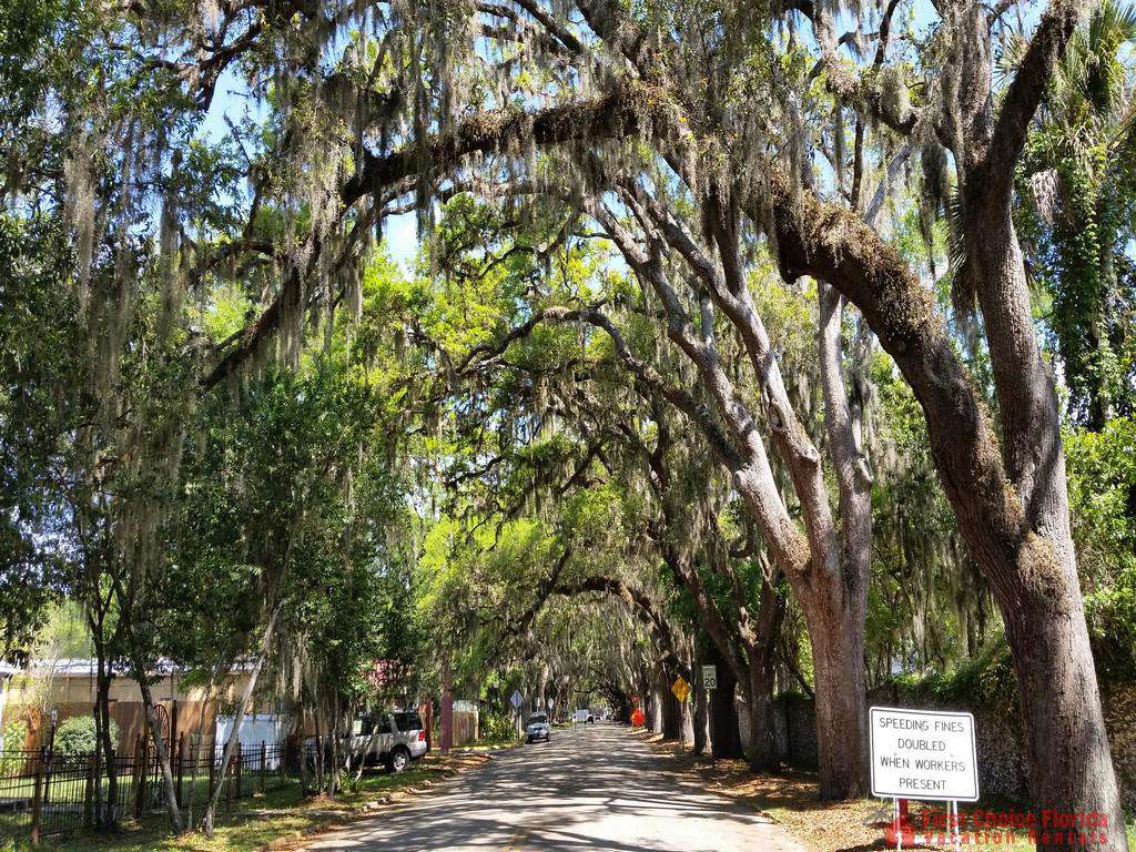 Magnolia Ave St. Augustine