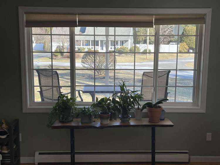 3 Bedroom in Wooded Area Preview 0