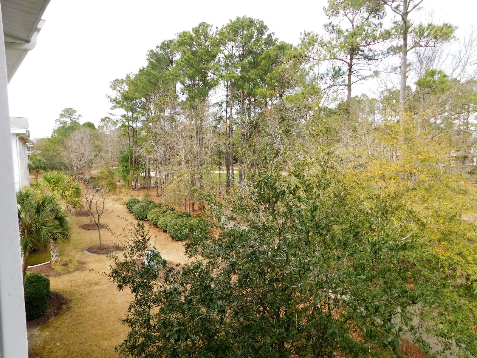view from balcony