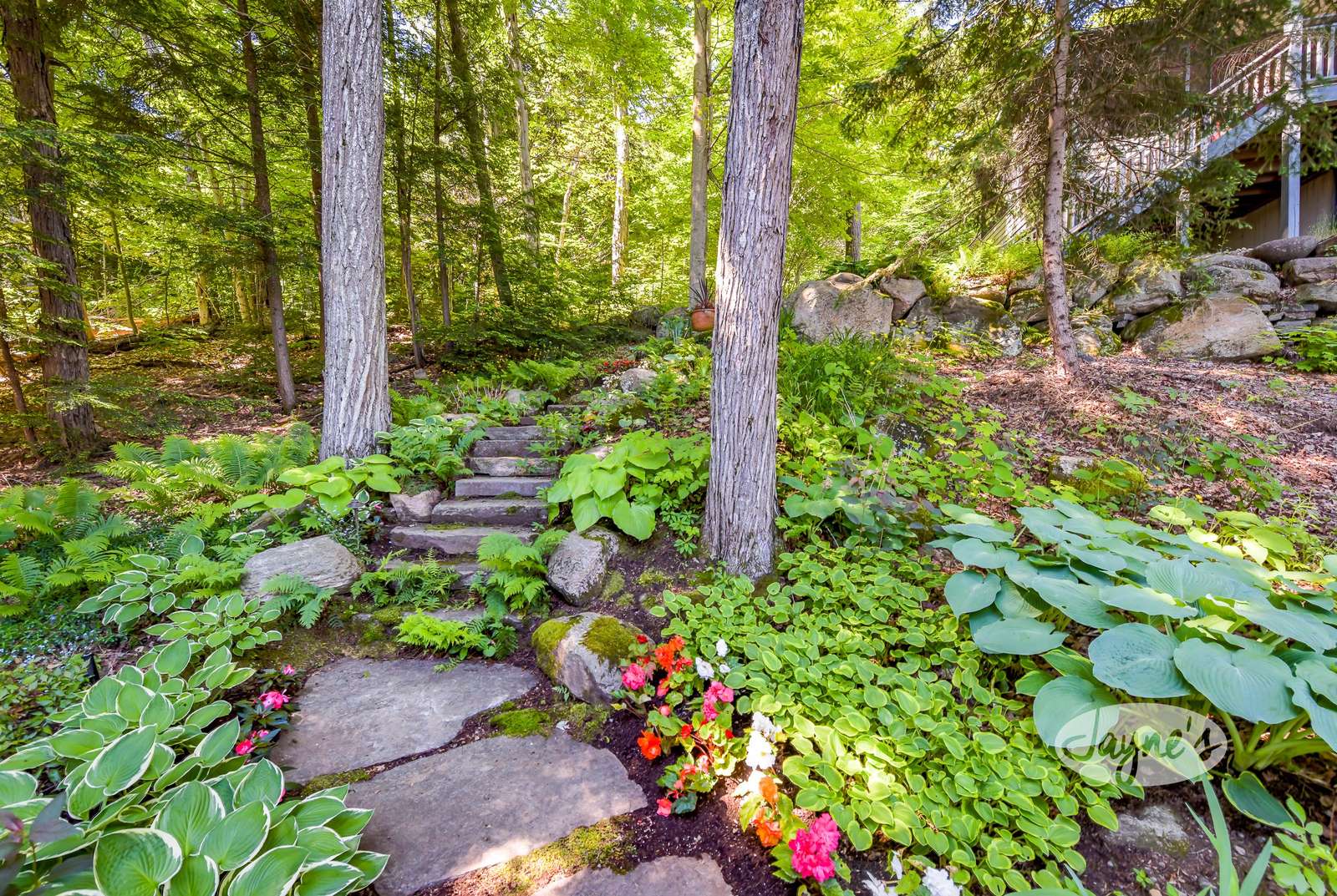 Stairway to Boathouse