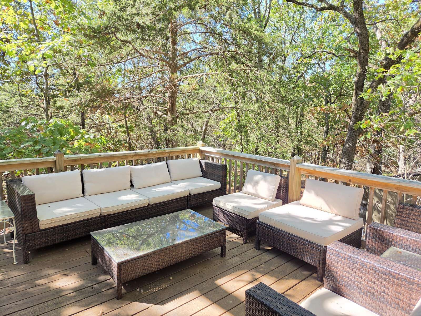 Uncle Arnie's-Beautiful Lakefront Easy Walking Path to Lake - property