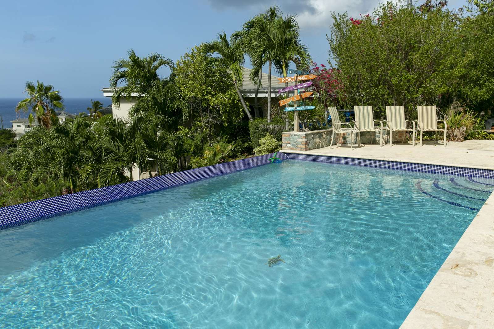 Infinity Pool