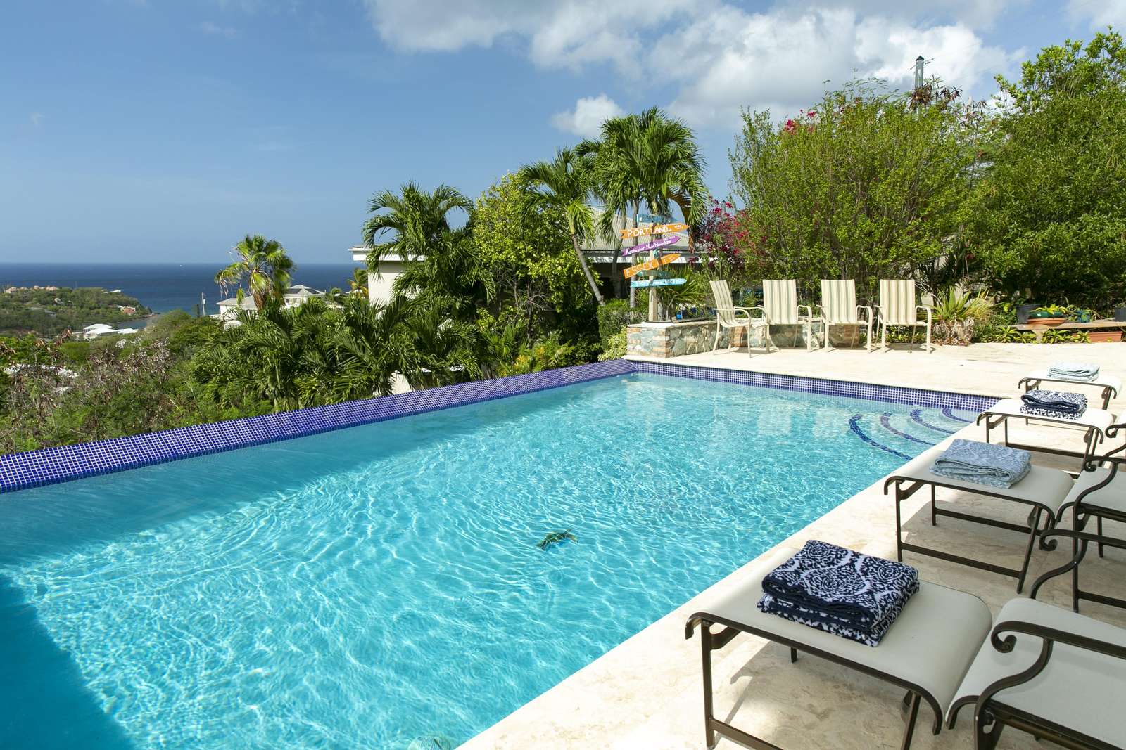 Infinity Pool