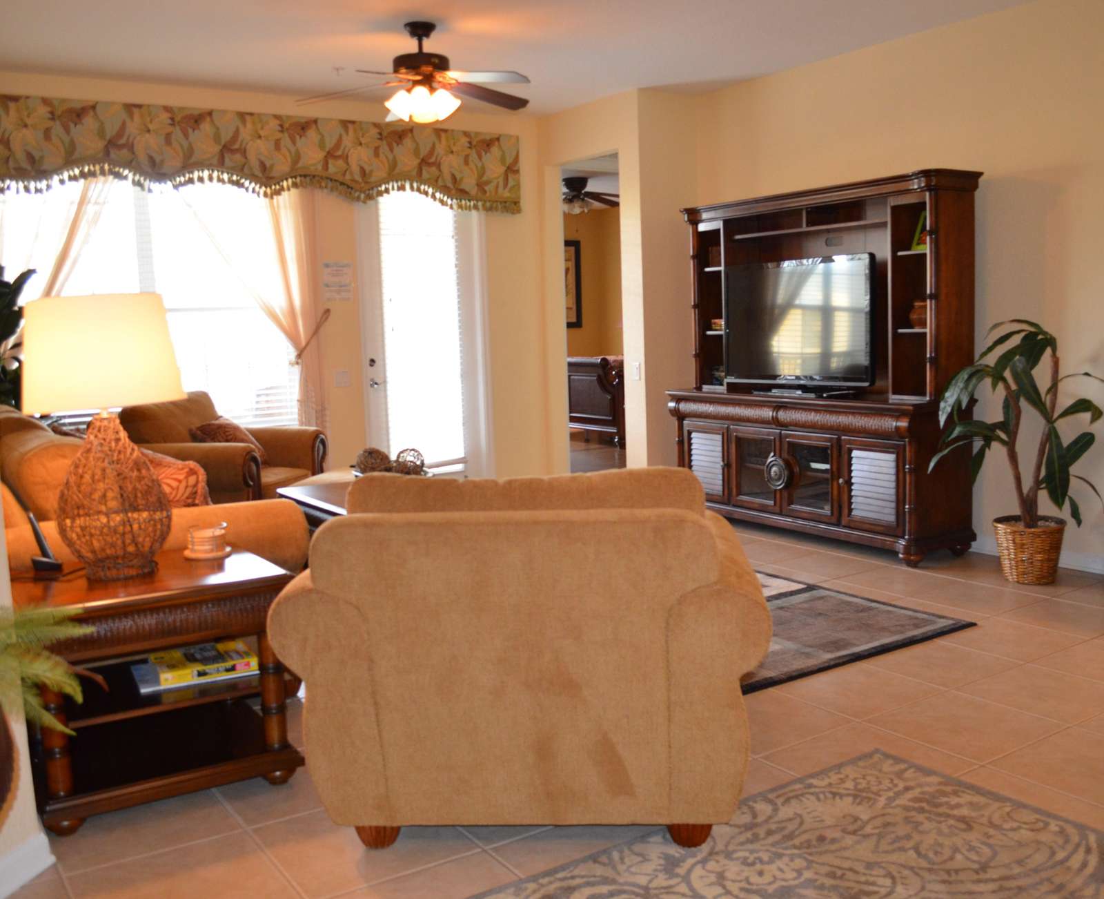 Large HDTV in Living Room, Blu-Ray DVD player, and Wii console