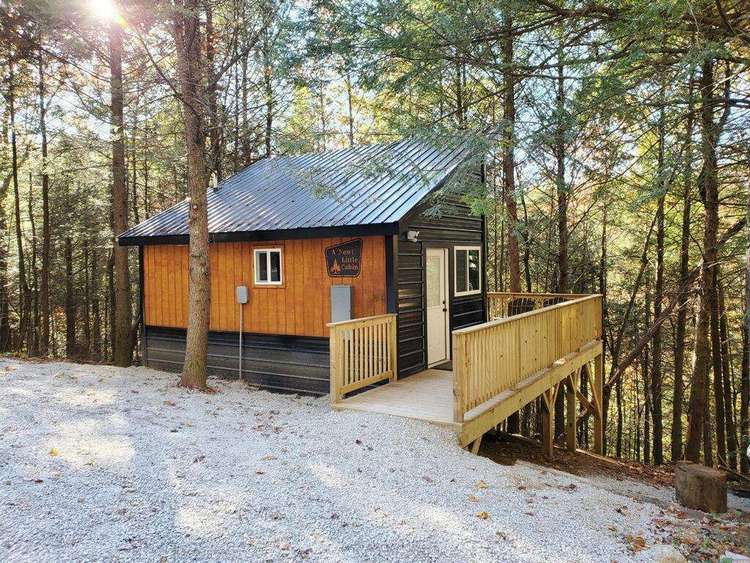 A “Newt” Little Cabin Preview 0