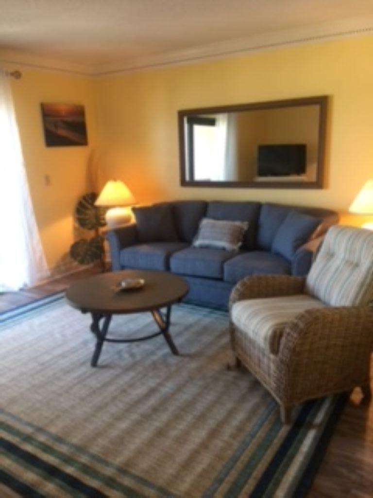 Living Area Pull out Couch