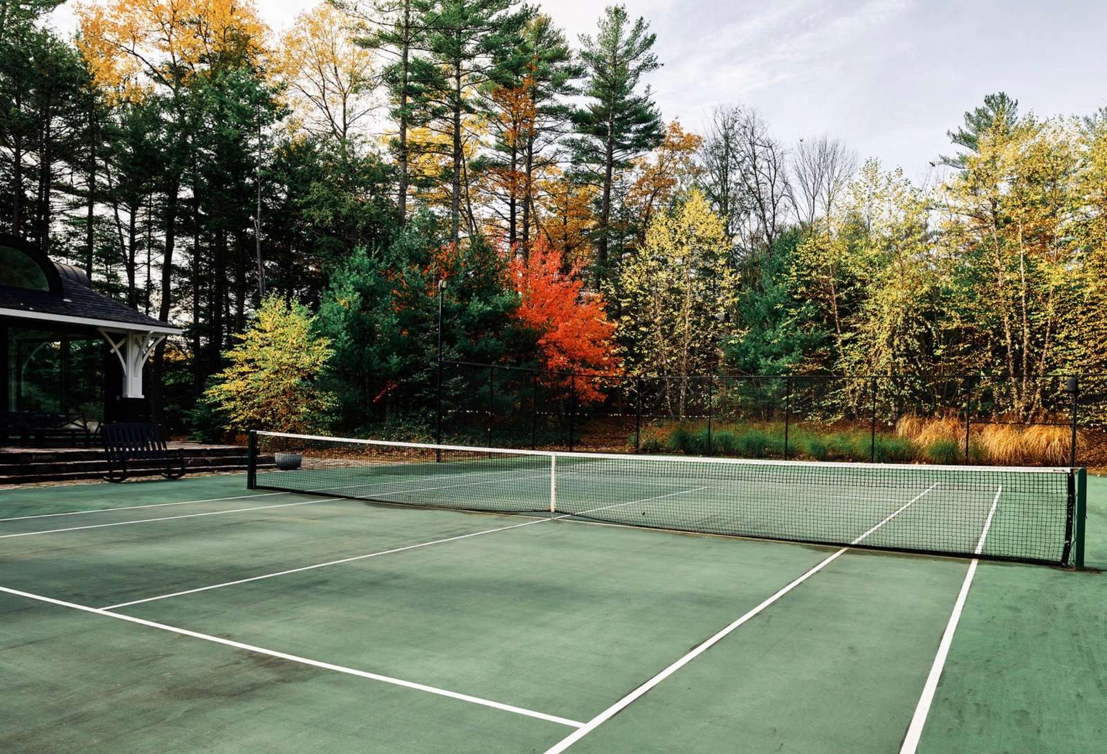 Driftwood Island Retreat Preview 2