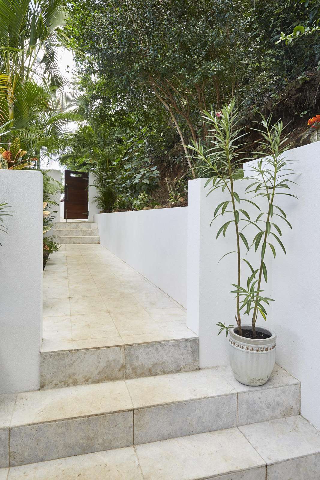 Tranquil outdoor pathway framed by lush greenery and clean white walls