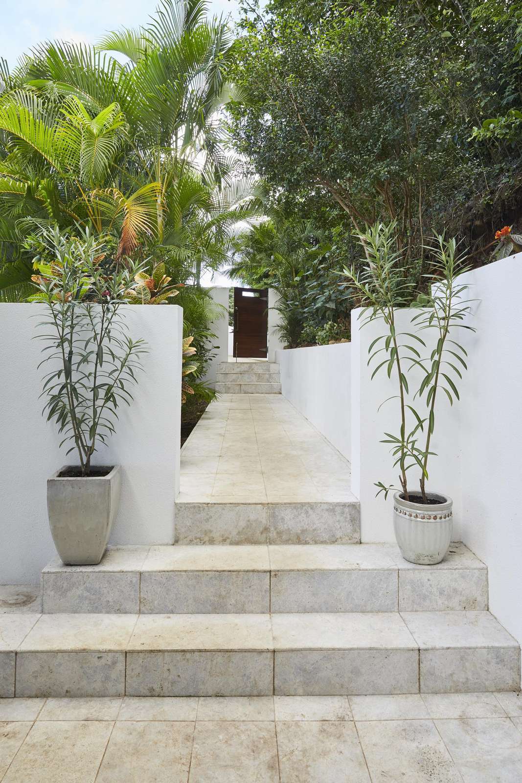 Serene outdoor staircase framed by lush greenery and modern planters