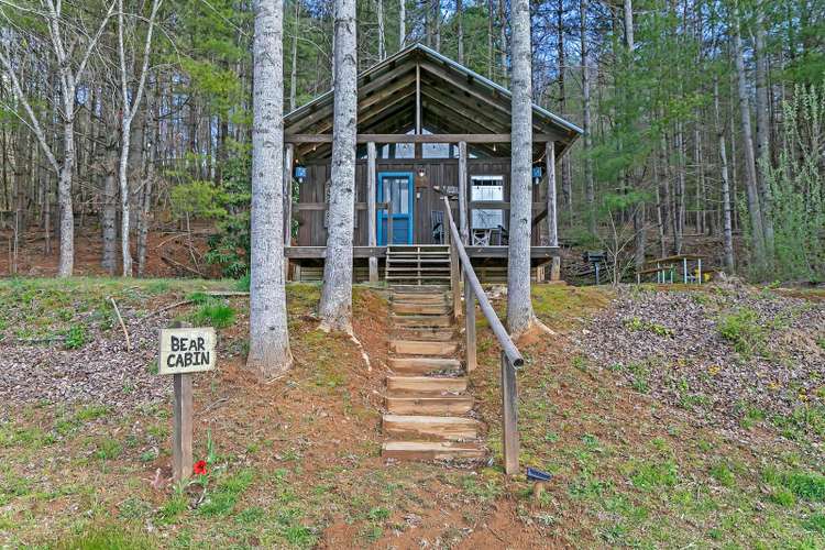 Bear Cabin Preview 0